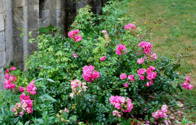 Французские зигзаги. Сентябрь 2019 г.