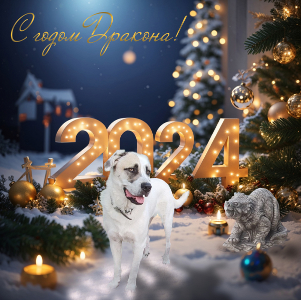 Переезд в Испанию с котиками-маскотиками или Навстречу ветру. Нулевой меридиан