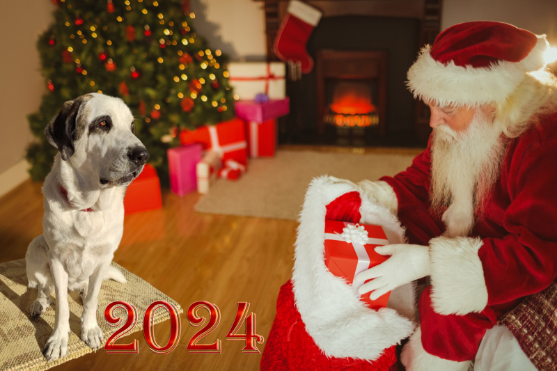 Переезд в Испанию с котиками-маскотиками или Навстречу ветру. Нулевой меридиан