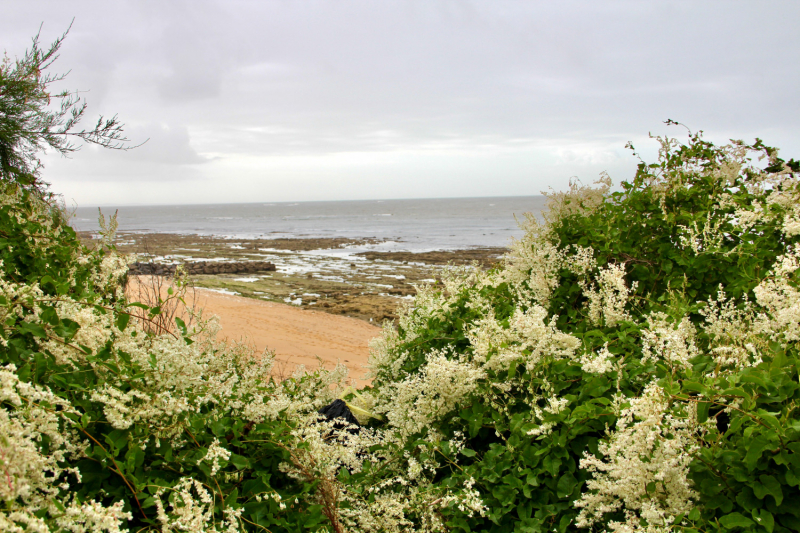 Французские зигзаги. Сентябрь 2019 г.