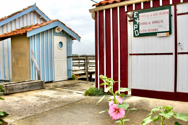 Французские зигзаги. Сентябрь 2019 г.