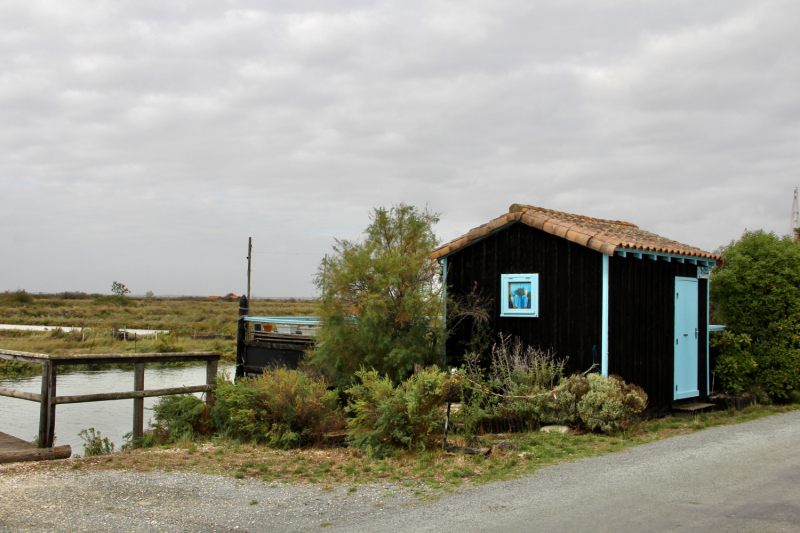 Французские зигзаги. Сентябрь 2019 г.