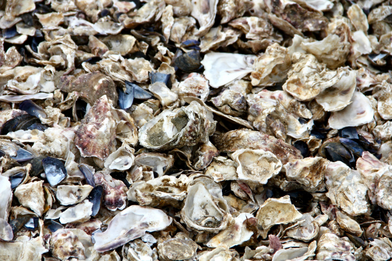 Французские зигзаги. Сентябрь 2019 г.