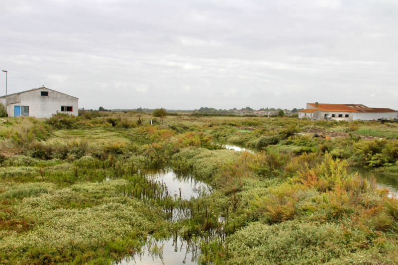 Французские зигзаги. Сентябрь 2019 г.
