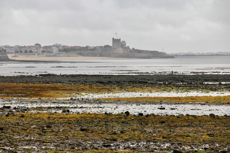 Французские зигзаги. Сентябрь 2019 г.