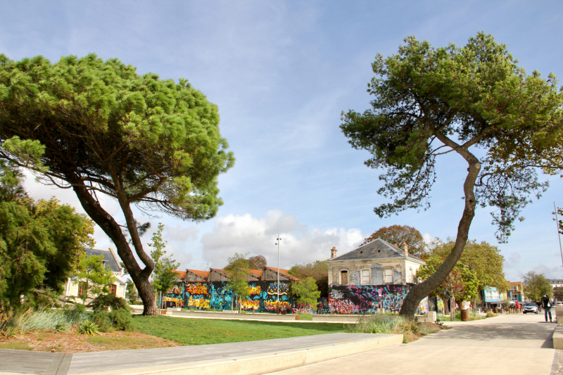 Французские зигзаги. Сентябрь 2019 г.