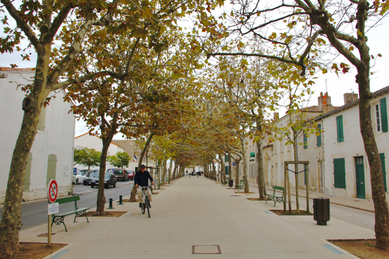 Французские зигзаги. Сентябрь 2019 г.