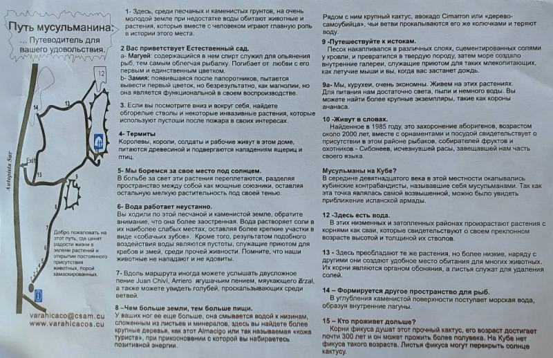 Куба на Новый Год 2024, Варадеро, отель PGS, экскурсии в Гавану и на Карибы, дайвинг.