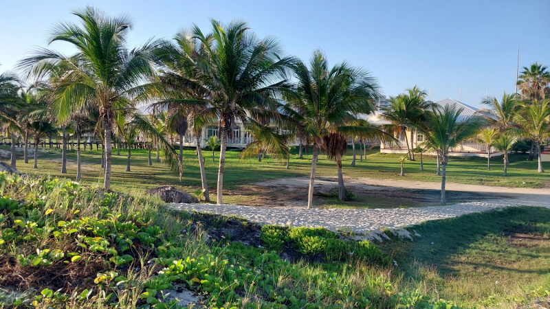 Куба 2024 январь