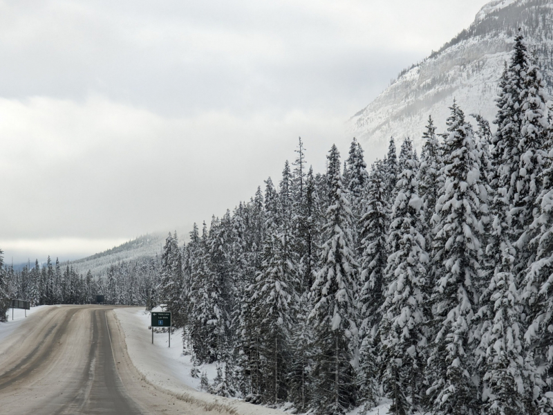 За зимней сказкой в Banff, Alberta. Два дня в фотографиях.