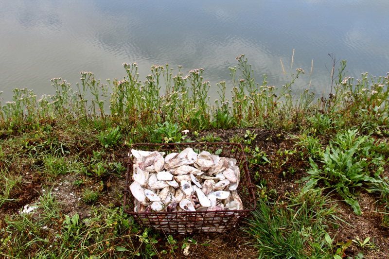 Французские зигзаги. Сентябрь 2019 г.