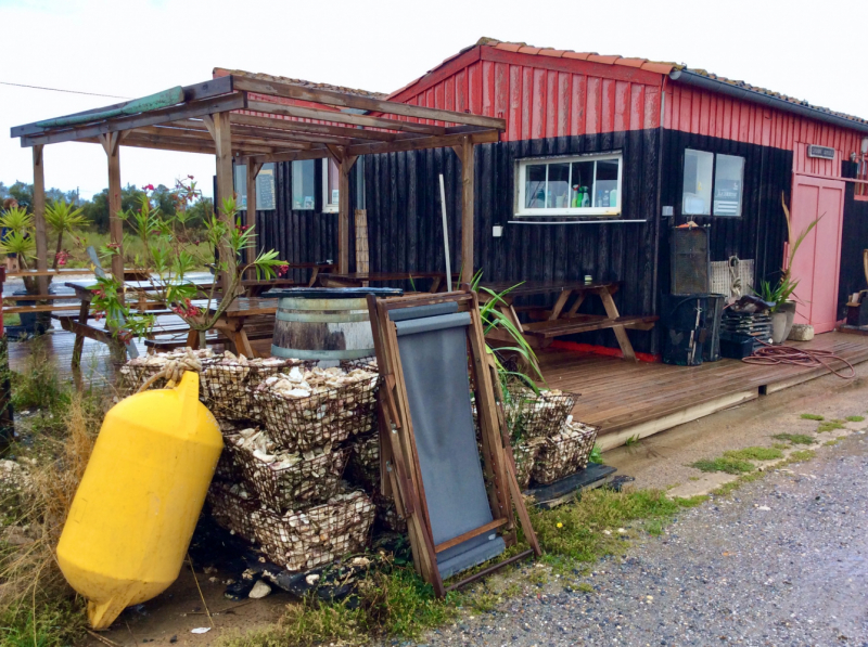 Французские зигзаги. Сентябрь 2019 г.