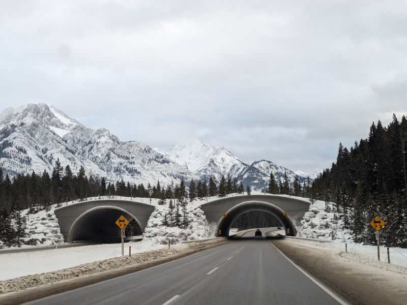 За зимней сказкой в Banff, Alberta. Два дня в фотографиях.