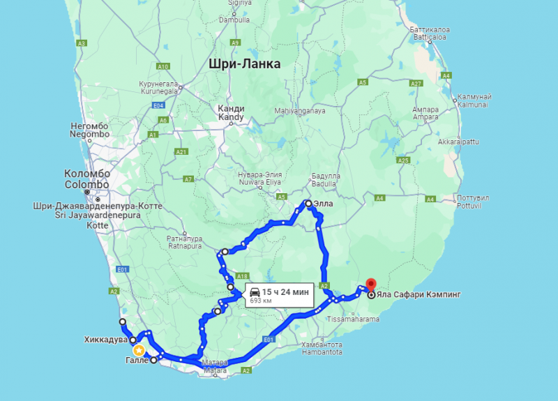 Шри-Ланка - 1 - 8 января 2024. Организованный отдых для неорганизованных туристов. Хиккадува - Галле - Элле - Яла и окрестности.
