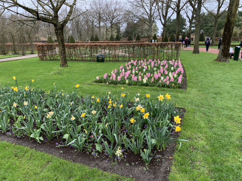 Королевский парк цветов Keukenhof