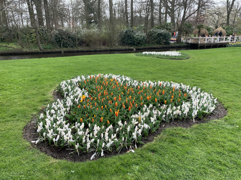 Королевский парк цветов Keukenhof