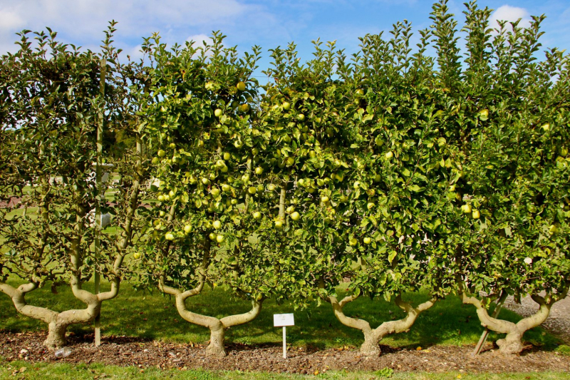 Французские зигзаги. Сентябрь 2019 г.