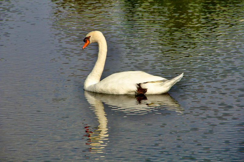 Французские зигзаги. Сентябрь 2019 г.