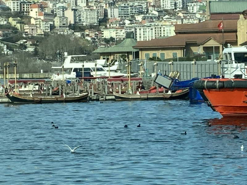 Третий раз в Стамбуле. Маршруты по новым и по любимым местам январь 2024