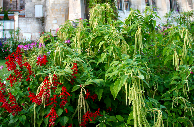 Французские зигзаги. Сентябрь 2019 г.