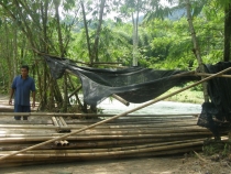 бамбуковые плоты:-)