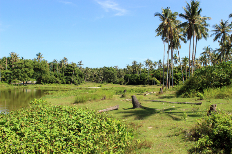 Путеводитель по Пхукету: маршруты и экскурсии, пляжи и храмы, поездки на острова  и смотровые площадки.