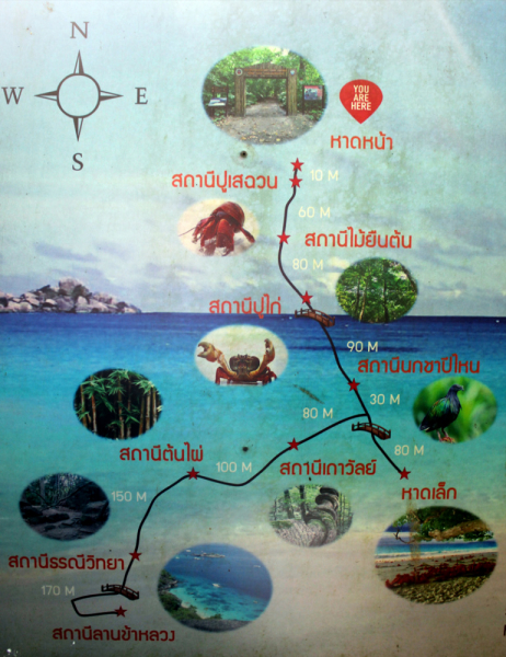 Путеводитель по Пхукету: маршруты и экскурсии, пляжи и храмы, поездки на острова  и смотровые площадки.