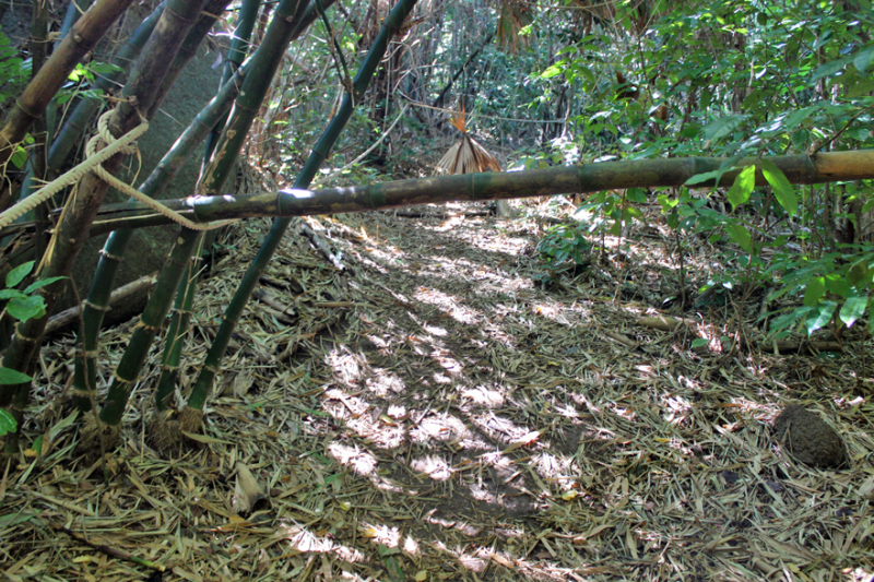 Путеводитель по Пхукету: маршруты и экскурсии, пляжи и храмы, поездки на острова  и смотровые площадки.