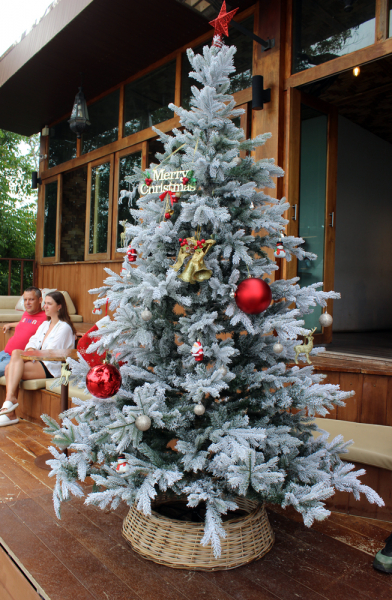 Путеводитель по Пхукету: маршруты и экскурсии, пляжи и храмы, поездки на острова  и смотровые площадки.