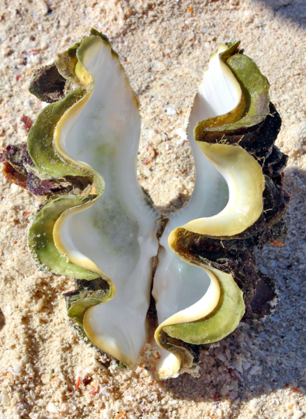 Путеводитель по Пхукету: маршруты и экскурсии, пляжи и храмы, поездки на острова  и смотровые площадки.