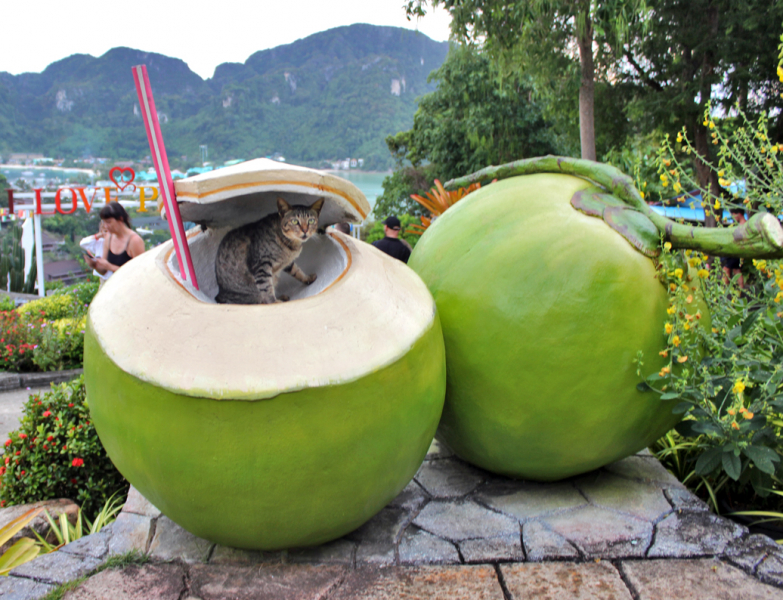 Путеводитель по Пхукету: маршруты и экскурсии, пляжи и храмы, поездки на острова  и смотровые площадки.