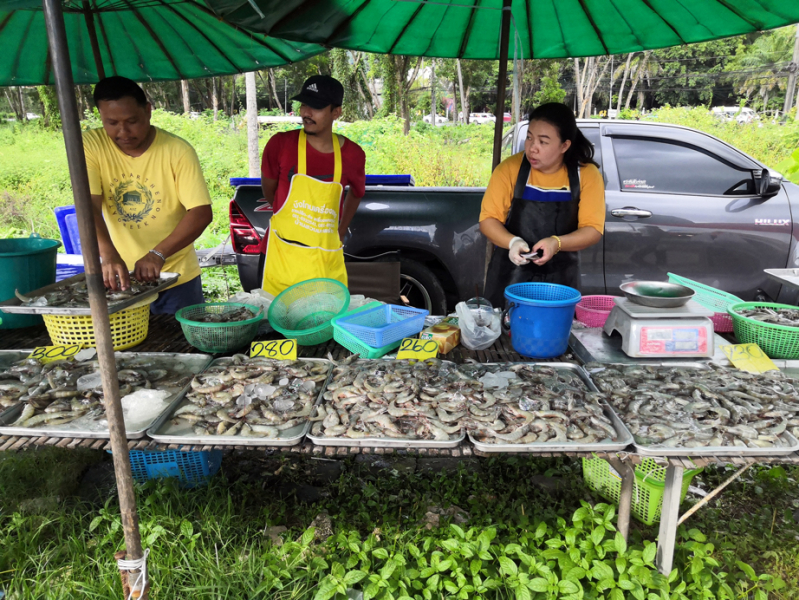 Путеводитель по Пхукету: маршруты и экскурсии, пляжи и храмы, поездки на острова  и смотровые площадки.