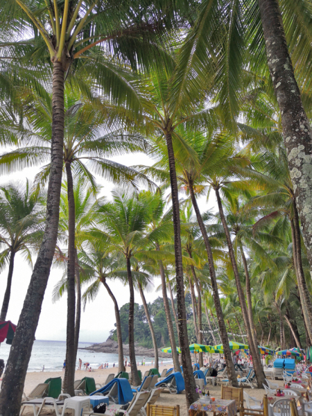 Путеводитель по Пхукету: маршруты и экскурсии, пляжи и храмы, поездки на острова  и смотровые площадки.