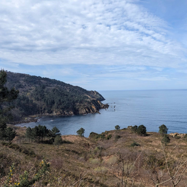 Жизнь на пути или Camino del norte набегами