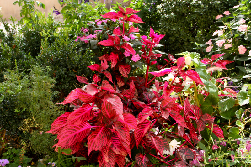 Французские зигзаги. Сентябрь 2019 г.