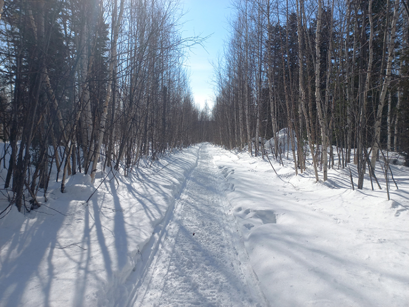 дорога к вулкану Кизимен