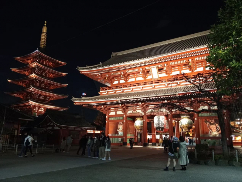 Япония 11 ночей - опыт поездки