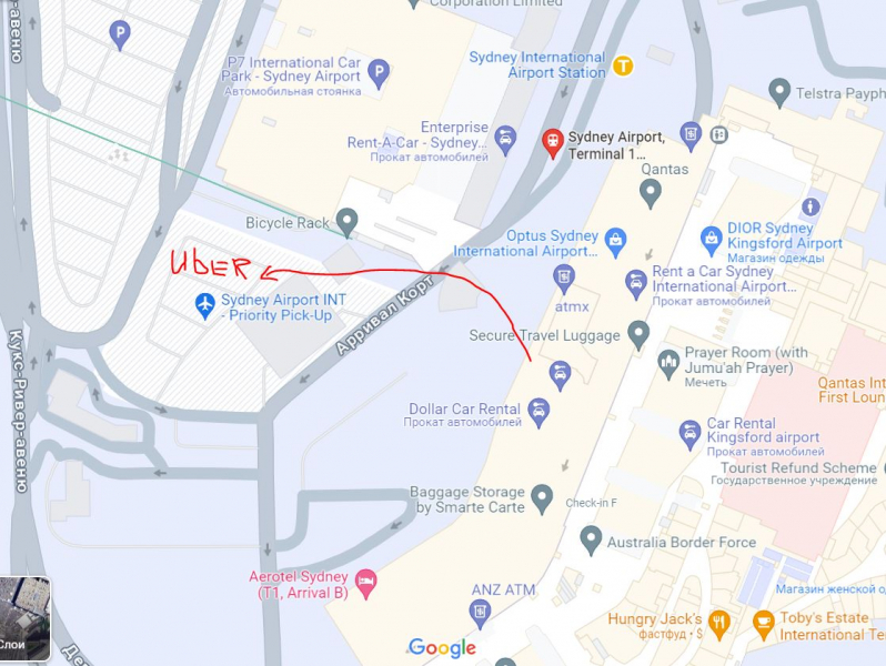 Под пологом австралийского дождевого леса_Кэрнс, Хобарт, Мельбурн, Сидней и окрестности, Большой барьерный риф Под пологом австралийского дождевого леса_Кэрнс, Хобарт, Мельбурн, Сидней и окрестности, Большой барьерный риф