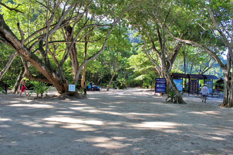 Путеводитель по Пхукету: маршруты и экскурсии, пляжи и храмы, поездки на острова  и смотровые площадки.