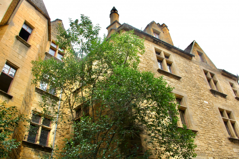 Французские зигзаги. Сентябрь 2019 г.