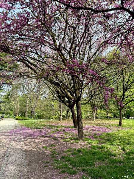 Пока мы ждем..