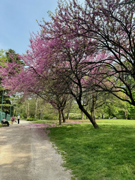 Пока мы ждем..