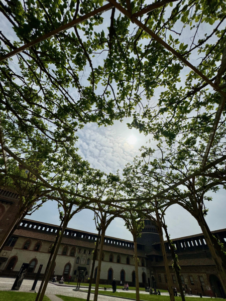 Пока мы ждем..