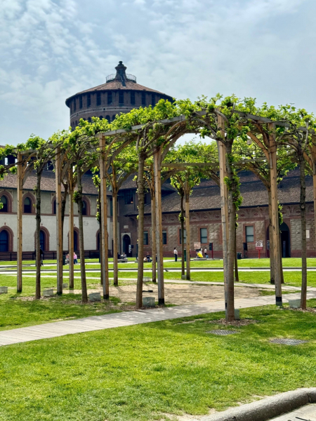 Пока мы ждем..