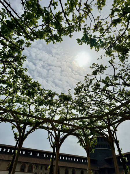 Пока мы ждем..