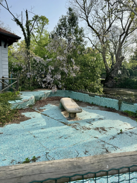 Пока мы ждем..