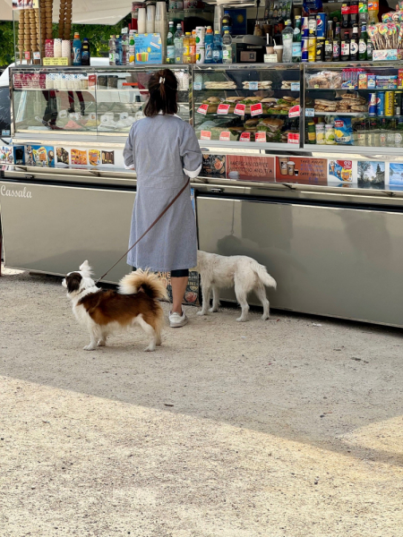 Пока мы ждем..