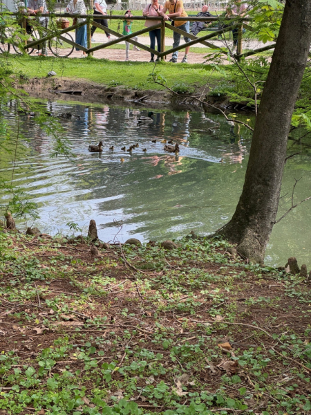 Пока мы ждем..