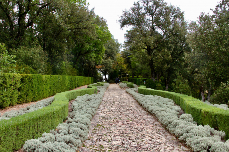 Французские зигзаги. Сентябрь 2019 г.