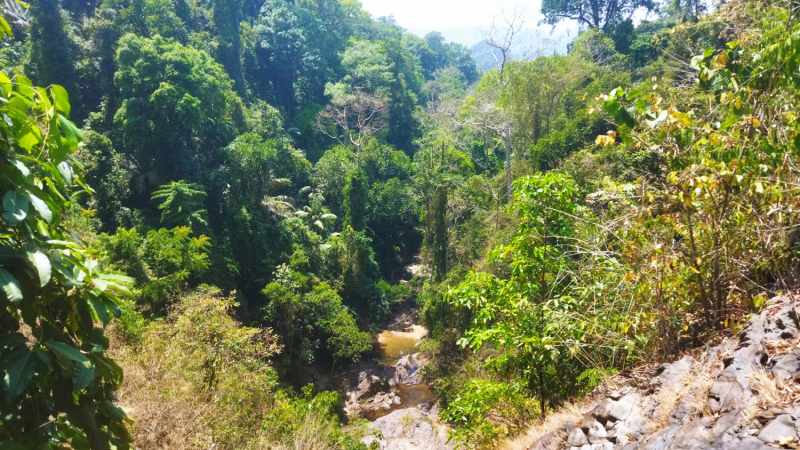 По южному Тайланду на автомобиле. Khao Lak, Khao Sok, Krabi, OA Luek, Phuket 14 дней. Пещеры, Кайаки, Горячие источники, Нац. Парки и т.п.